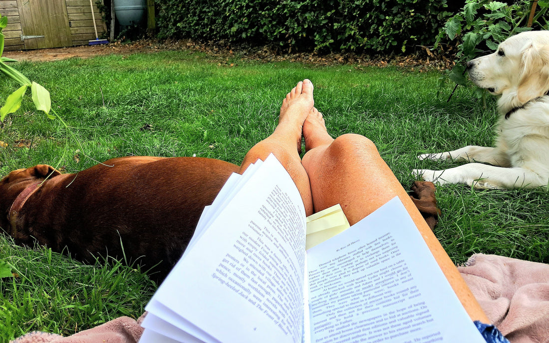 📚Reading for Resilience, Creativity, and Healing 🌱