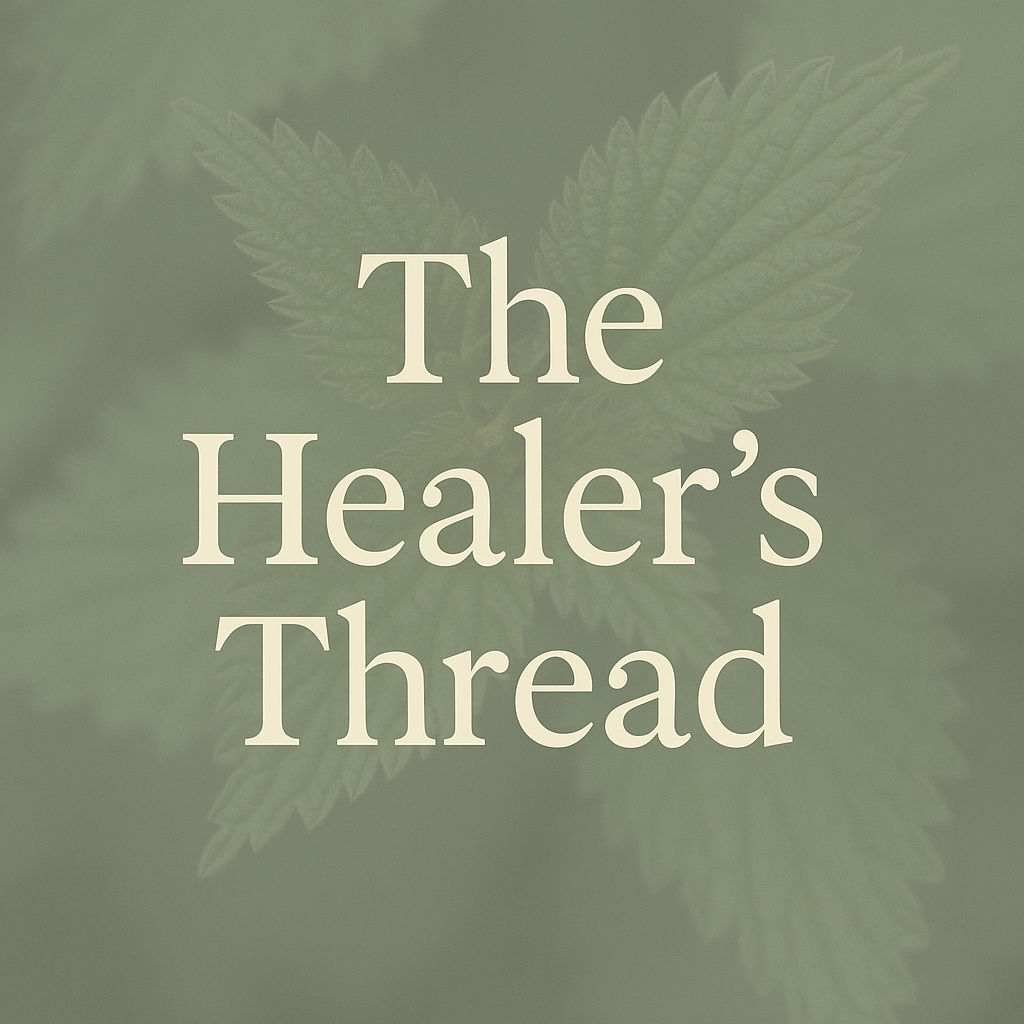 Dyslexia: My Superpower and the Root of Nettle Revolution