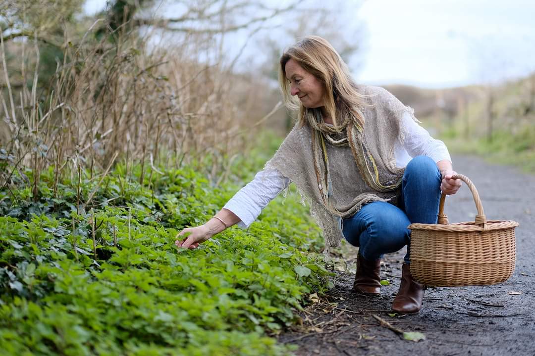 Why Nettle Revolution?