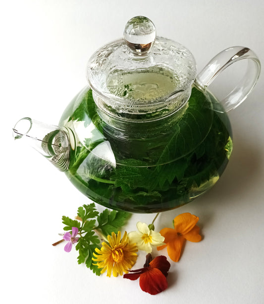 How to make your own healthy cup of foraged nettle tea