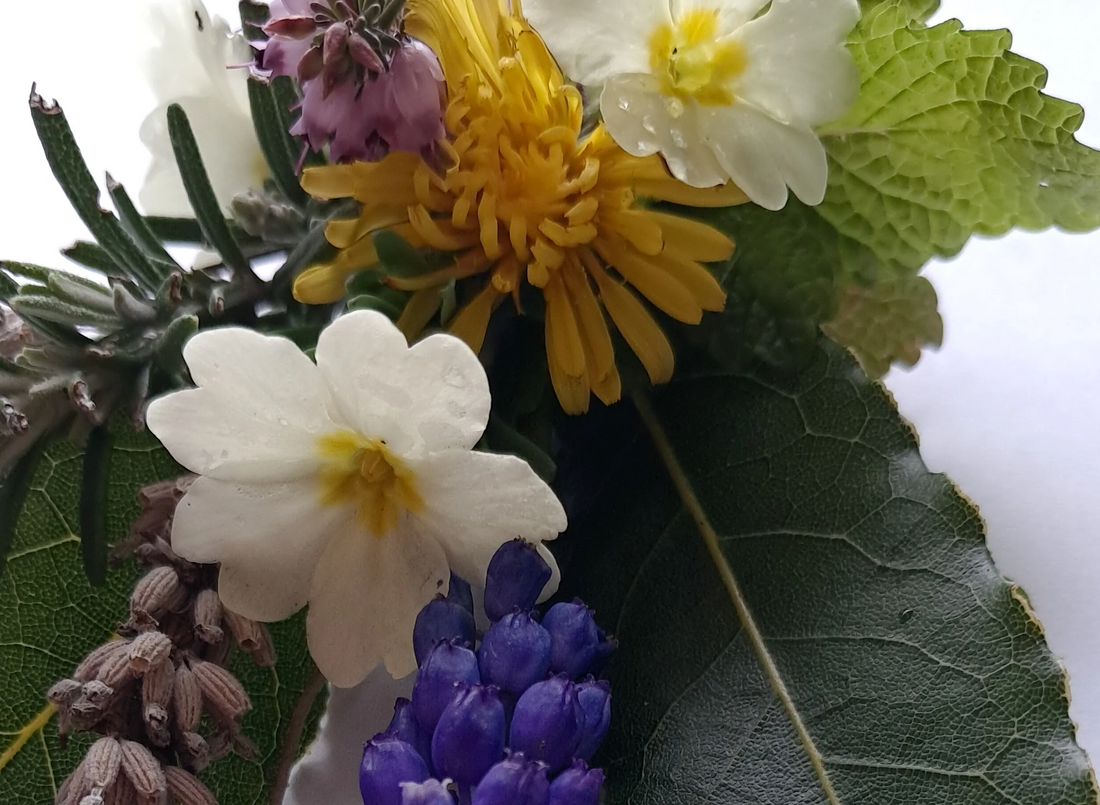 Workshop Reflection: Sensing and Creating with Nature’s Gifts – April 2025