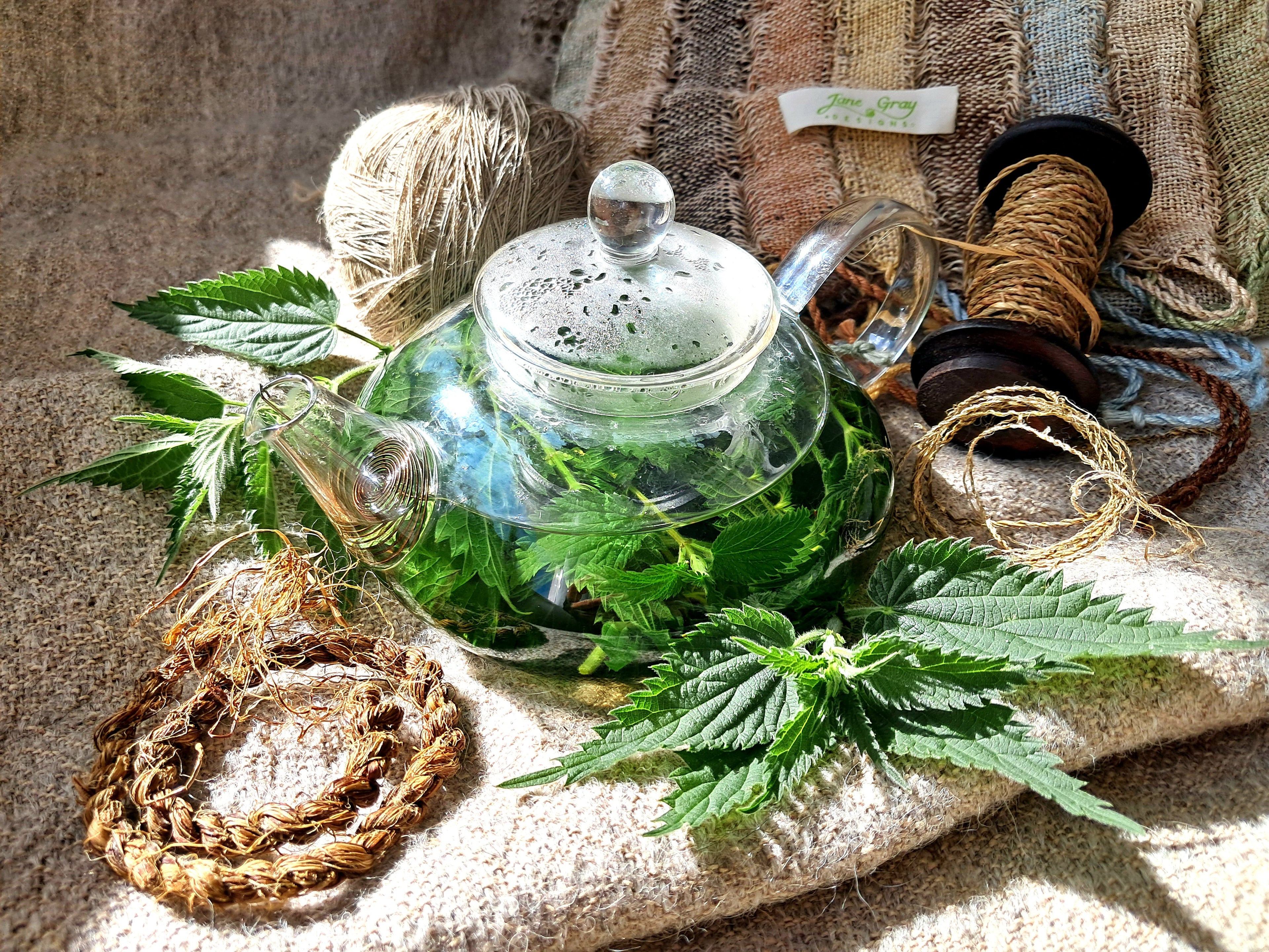 Clear glass teapot with green leaves on a textured surface with nettle cordage and handwoven nettle fabric