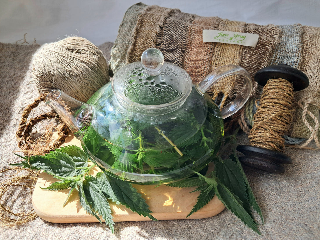 🌿 The Roots of Nettle Revolution: An Invitation to Rediscover Nature’s Wisdom 🌿