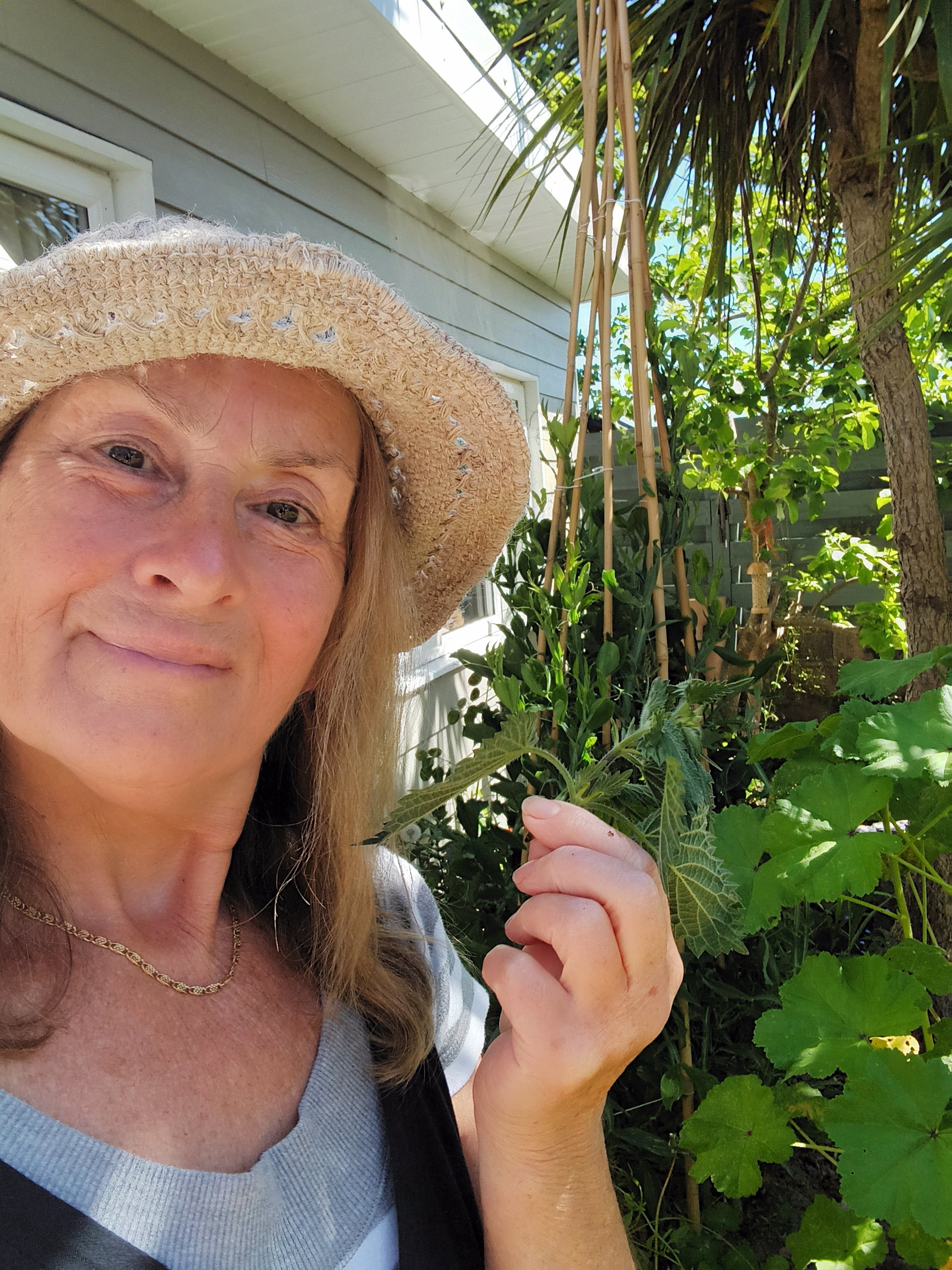 Nettles: Practical, Mystical and Magical – Nettle Revolution