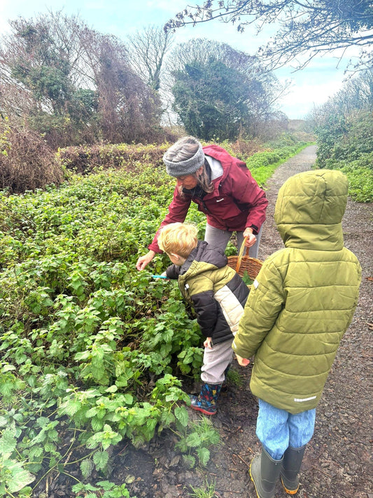 The Nettle Path and Dharma: How Nature Teaches Us Our True Purpose