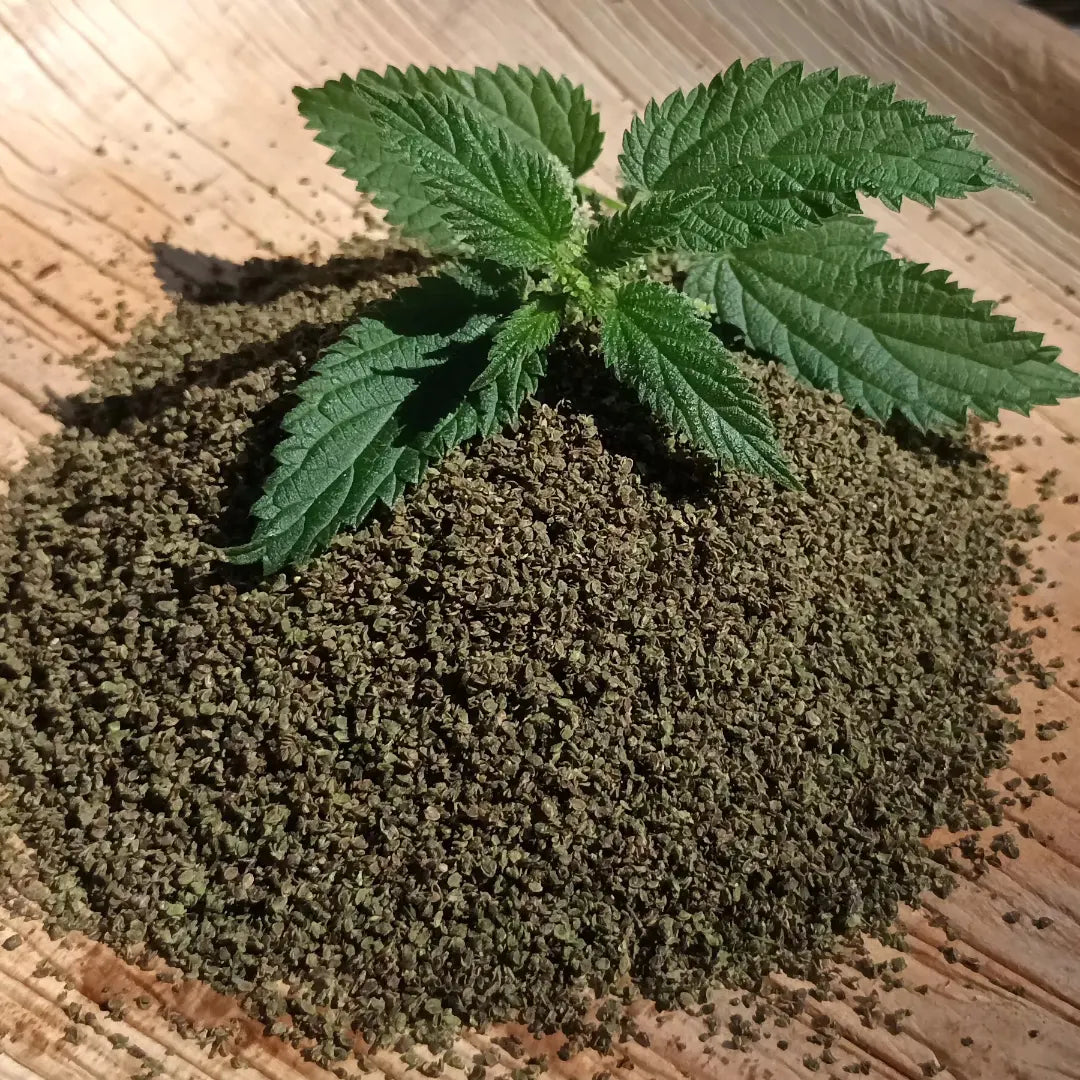 Our Mission at Nettle Revolution