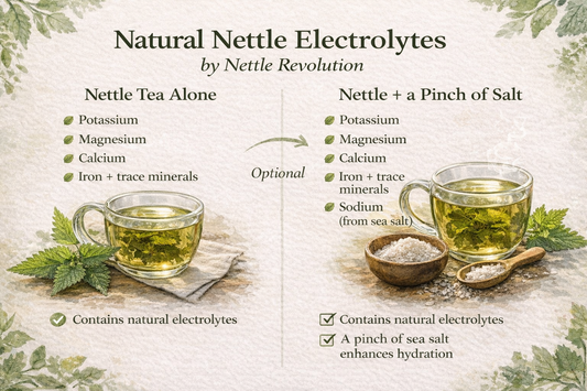 A Nettle Revolution Approach to Everyday Wellbeing