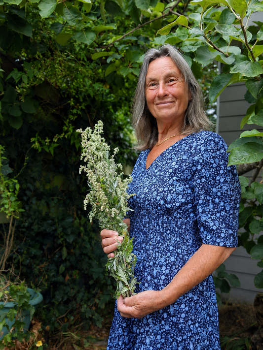 Mugwort: The Ancient Herb of Dreams, Calm and Quiet Wisdom